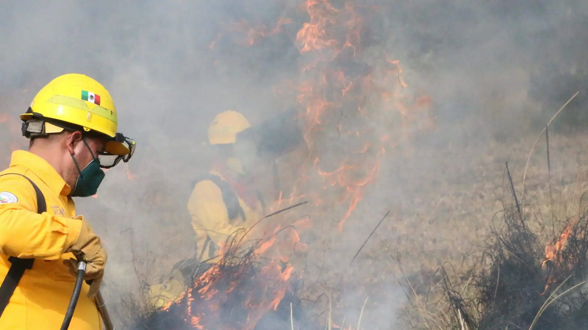 DAVID-INCENDIOS FORESTALES-1